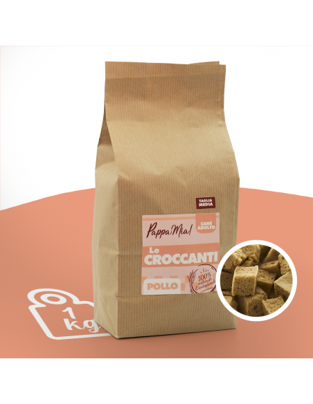 Crocchette per cani al pollo 1 kg