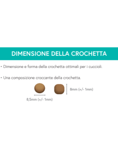 Le Croccanti per CUCCIOLO al Salmone con eglefino, melù,...