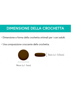 Le Croccanti al Tacchino con patate dolci e mirtilli rossi 2