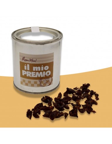 Piccoli bocconcini di carne di manzo tritata ed essiccata